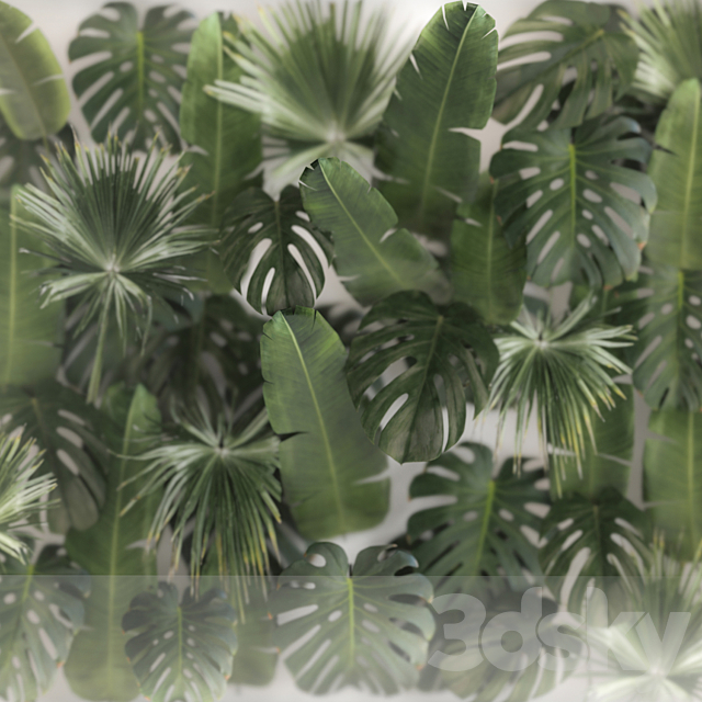 Phytowall and phytobox made of banana palm branches and fan palm leaves in a niche behind a translucent stack. Bouquet 287. 3DSMax File - thumbnail 5