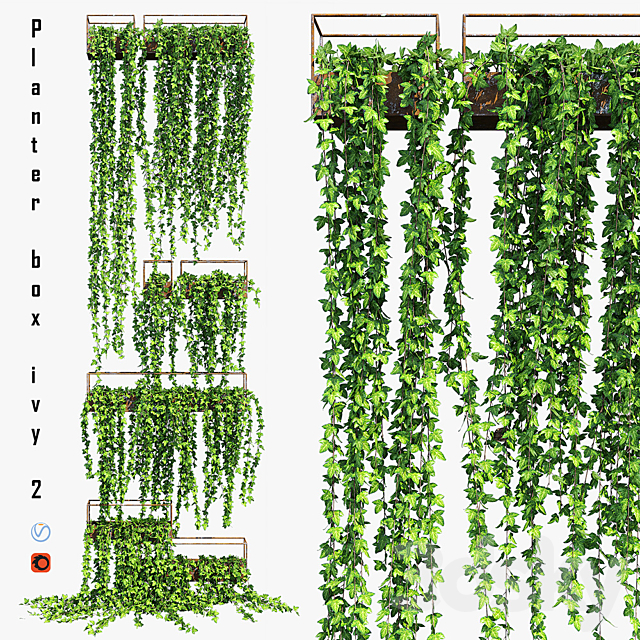 Planter box ivy 2 3ds Max - thumbnail 1