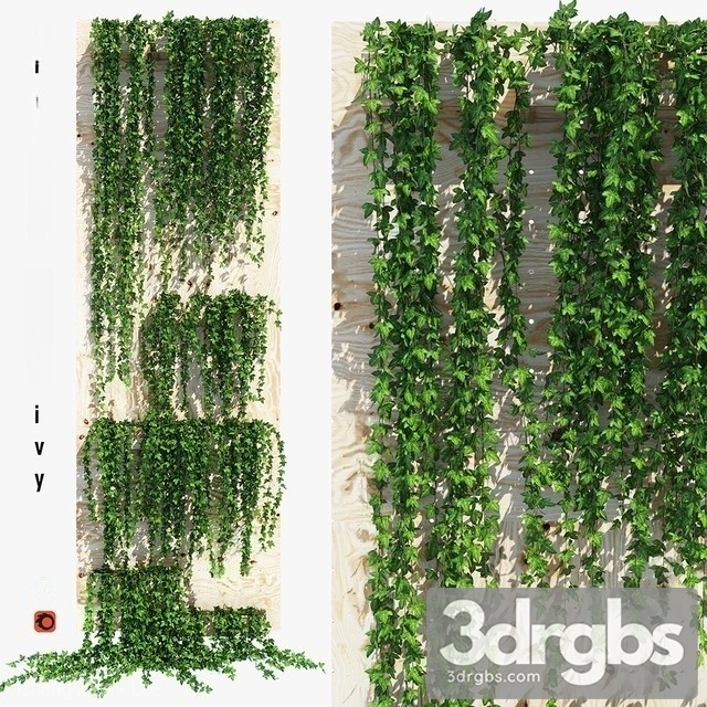 Planter Box Ivy 2 3dsmax Download - thumbnail 1