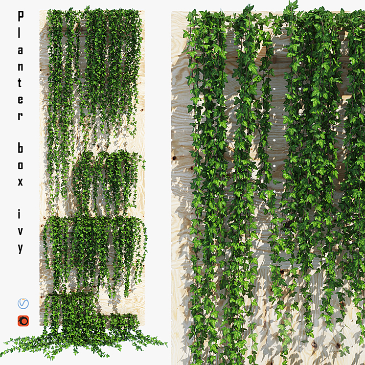 Planter box ivy 3DS Max - thumbnail 1