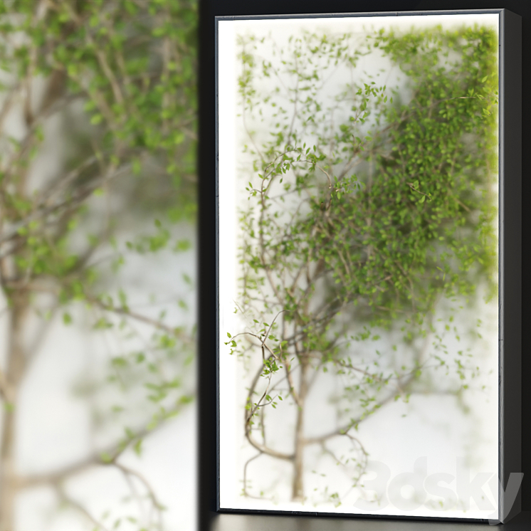 Plants in the light box vol 176 3DS Max - thumbnail 1