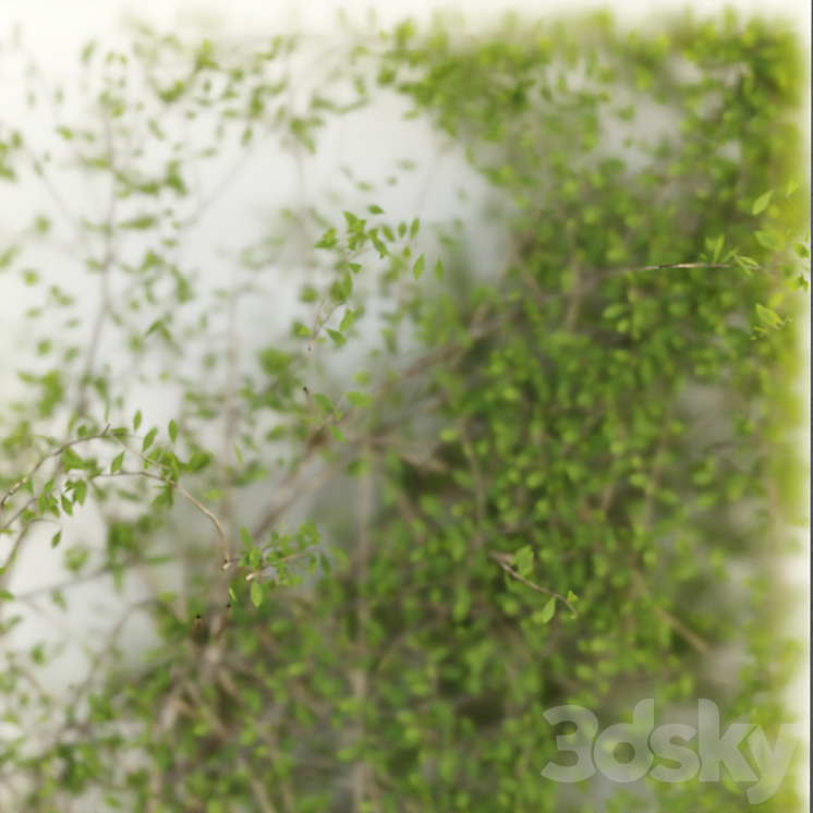 Plants in the light box vol 176 3DS Max - thumbnail 2