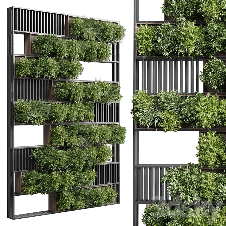 plants set partition in wooden frame – Vertical graden wall decor box 35 3DS Max Model - thumbnail 1