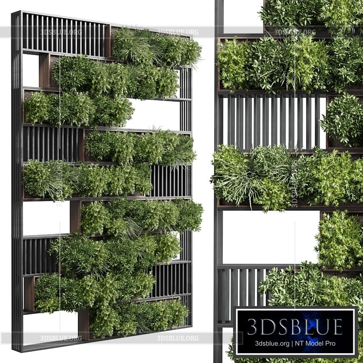 plants set partition in wooden frame – Vertical graden wall decor box 35 3DS Max - thumbnail 3