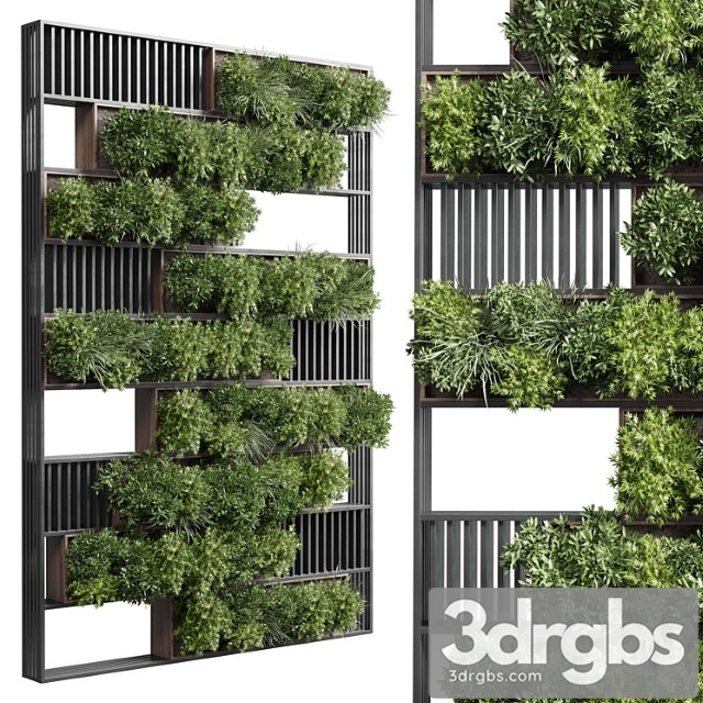 Plants set partition in wooden frame – vertical graden wall decor box 35 - thumbnail 1