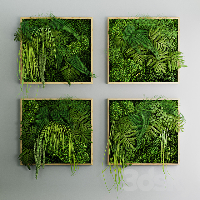 Set of moss and fern phyto modules 3ds Max - thumbnail 1