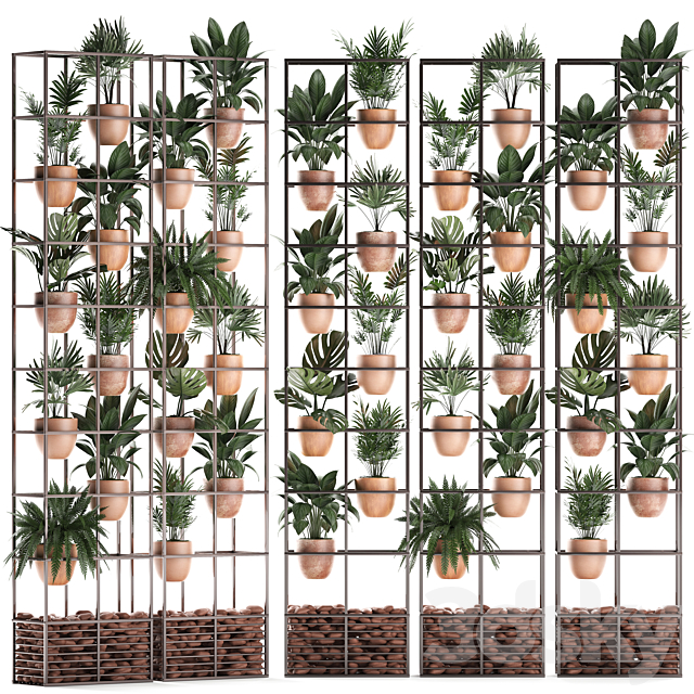 Shelf with flowers in clay pots vertical garden with fern palm monstera ficus shelving. Set of 30. 3DS Max Model - thumbnail 2