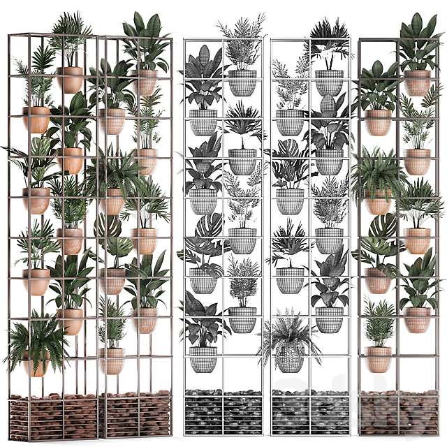 Shelf with flowers in clay pots vertical garden with fern palm monstera ficus shelving. Set of 30. 3DS Max Model - thumbnail 3