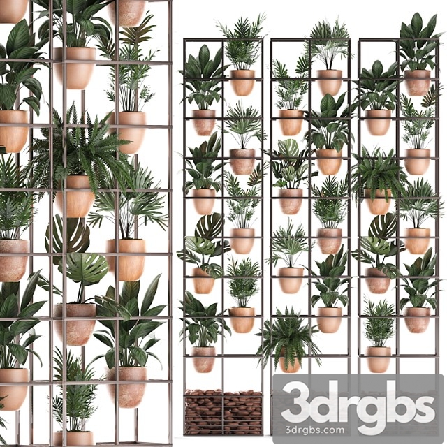 Shelf with flowers in clay pots vertical garden with fern, palm, monstera, ficus, shelving. set of 30. - thumbnail 1