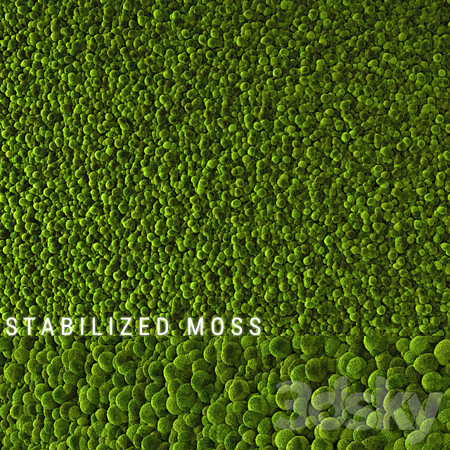 Stabilized Moss 2 3DS Max Model - thumbnail 2