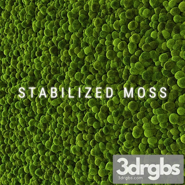 Stabilized Moss 2 3dsmax Download - thumbnail 1