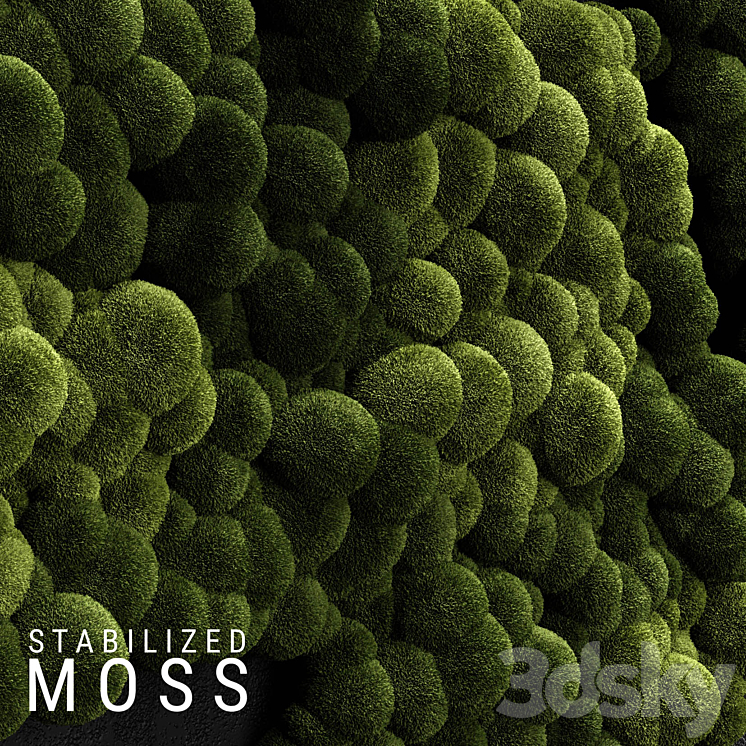 Stabilized Moss 3 3DS Max - thumbnail 1