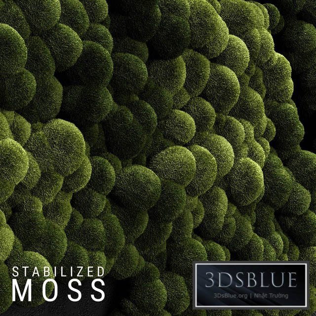 Stabilized Moss 3 3DS Max - thumbnail 3