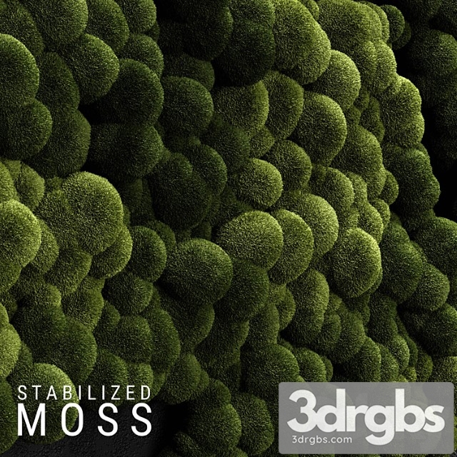 Stabilized moss 3 - thumbnail 1