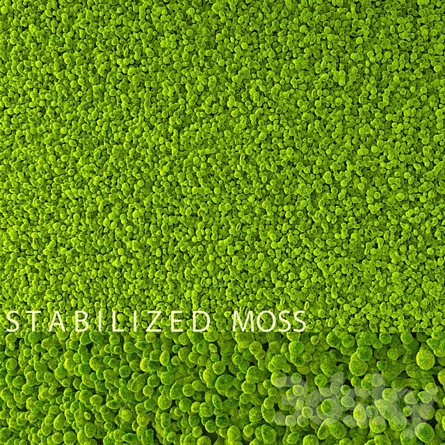 Stabilized Moss 3ds Max - thumbnail 1