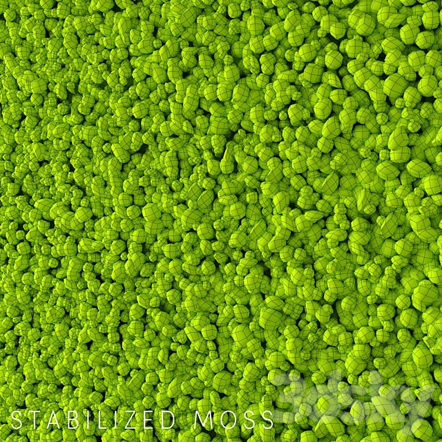 Stabilized Moss 3ds Max - thumbnail 3