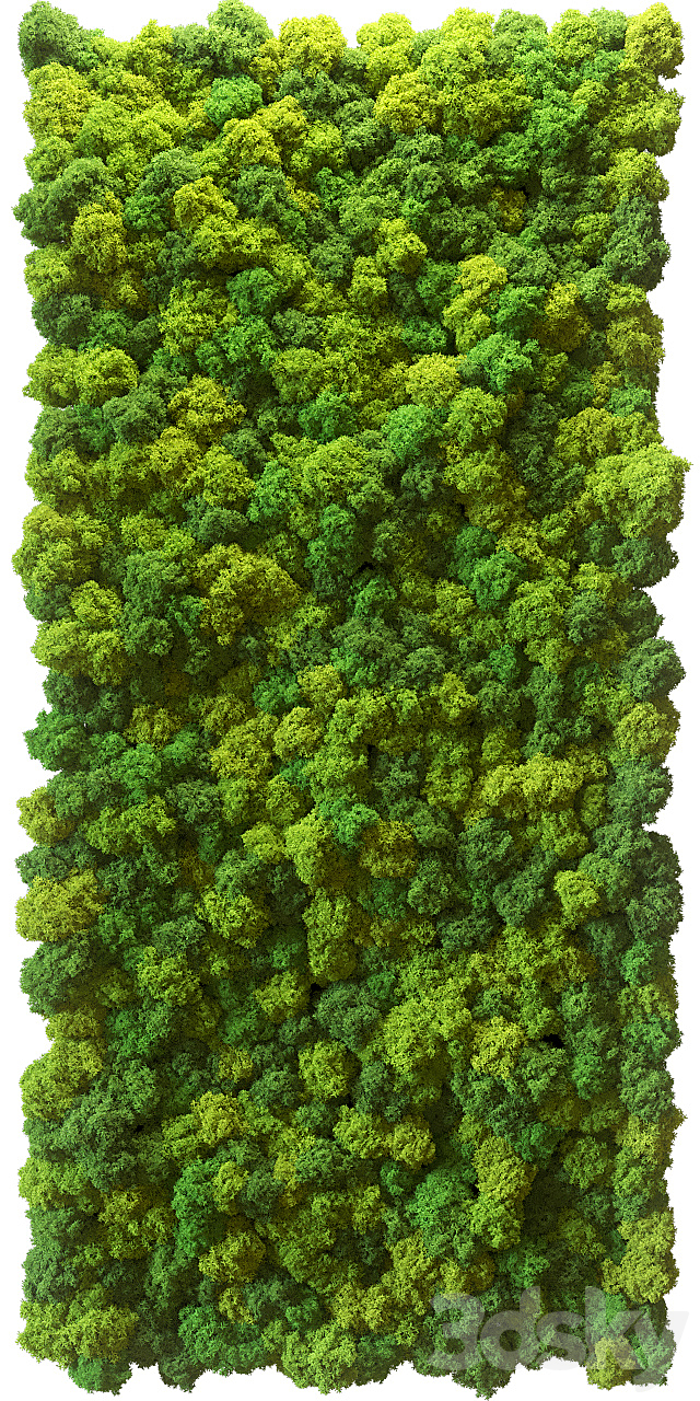 Stabilized moss 3ds Max - thumbnail 2