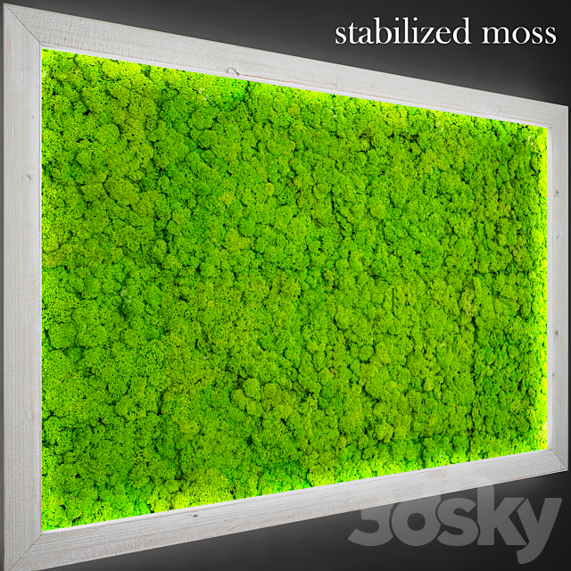 Stabilized moss. 3DS Max Model - thumbnail 2