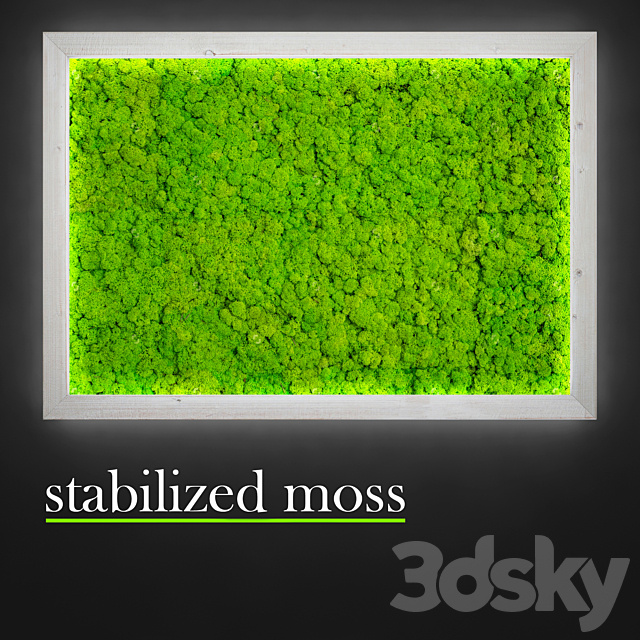 Stabilized moss. 3DS Max Model - thumbnail 3