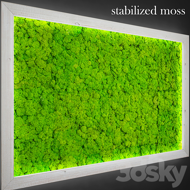 Stabilized moss. 3DSMax File - thumbnail 2