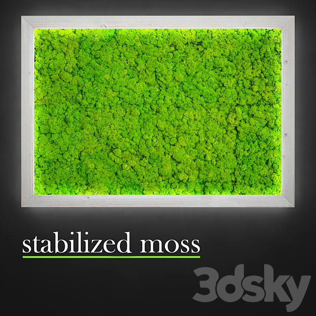 Stabilized moss. 3DSMax File - thumbnail 3