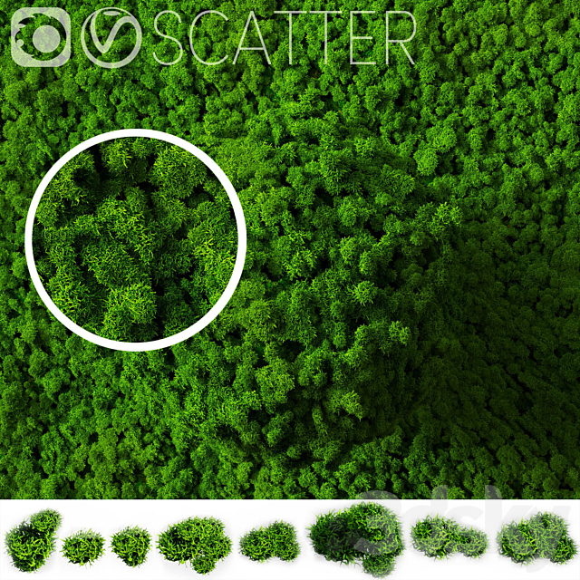 stabilized moss for scatter 3DSMax File - thumbnail 1