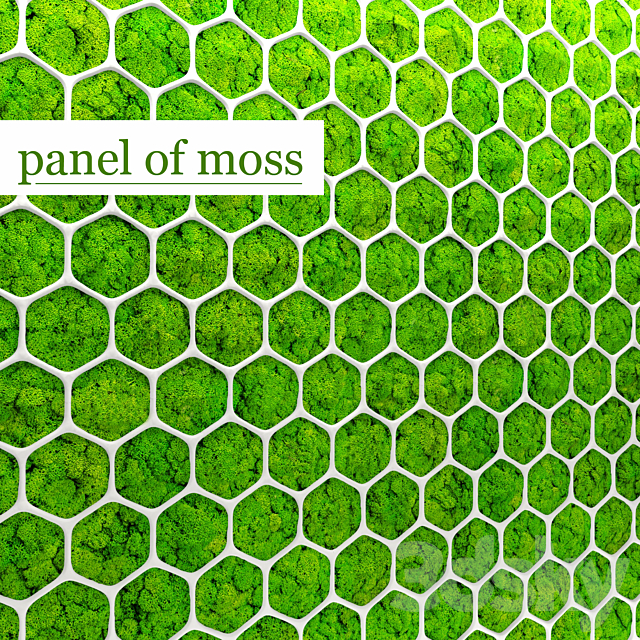 Stabilized moss. Panel. green wall. landscaping. phytowall. phytomodule 3DSMax File - thumbnail 1