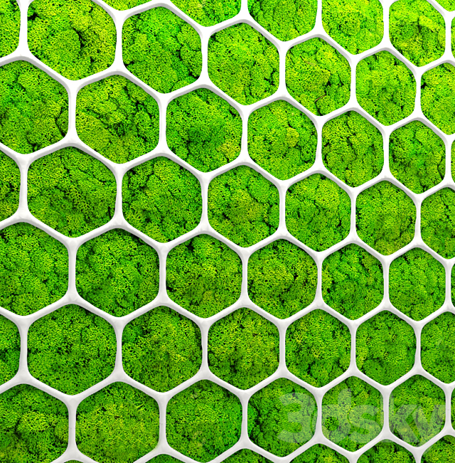 Stabilized moss. Panel. green wall. landscaping. phytowall. phytomodule 3DSMax File - thumbnail 2