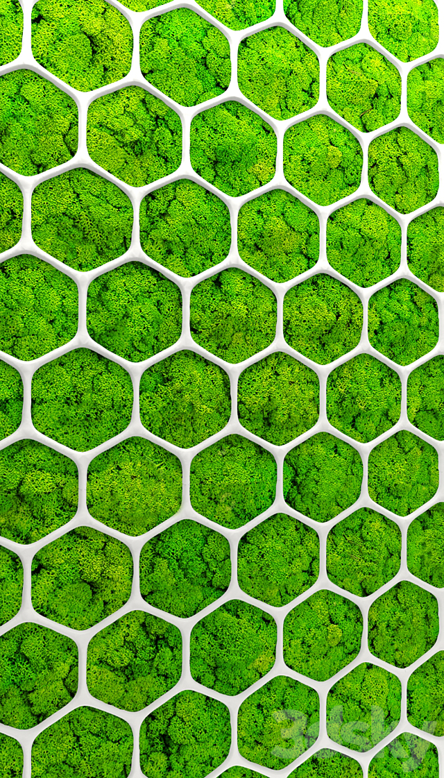 Stabilized moss. Panel. green wall. landscaping. phytowall. phytomodule 3DSMax File - thumbnail 3