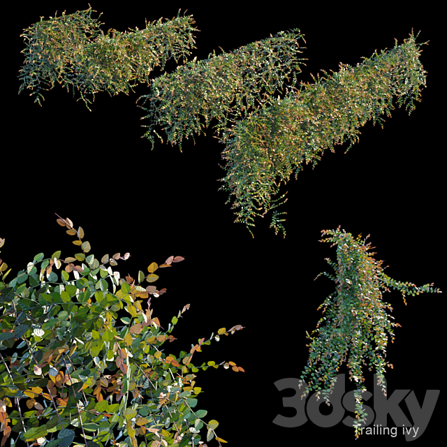 Trailing ivy 3 3DSMax File - thumbnail 1