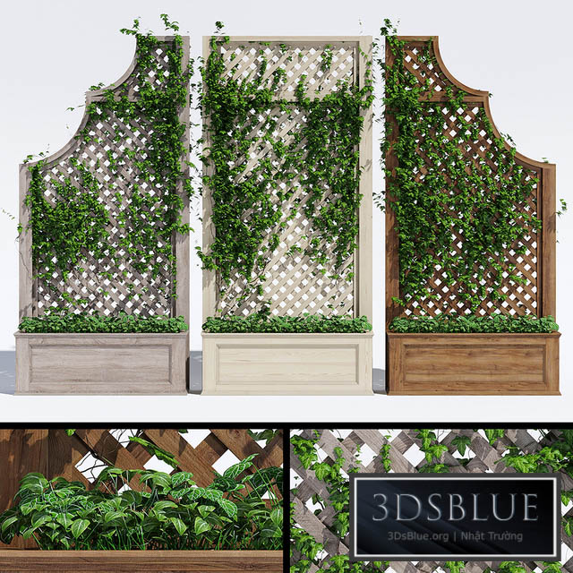 Trellises 3DS Max - thumbnail 3