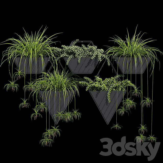 Tulan hanging planter 3DS Max Model - thumbnail 2