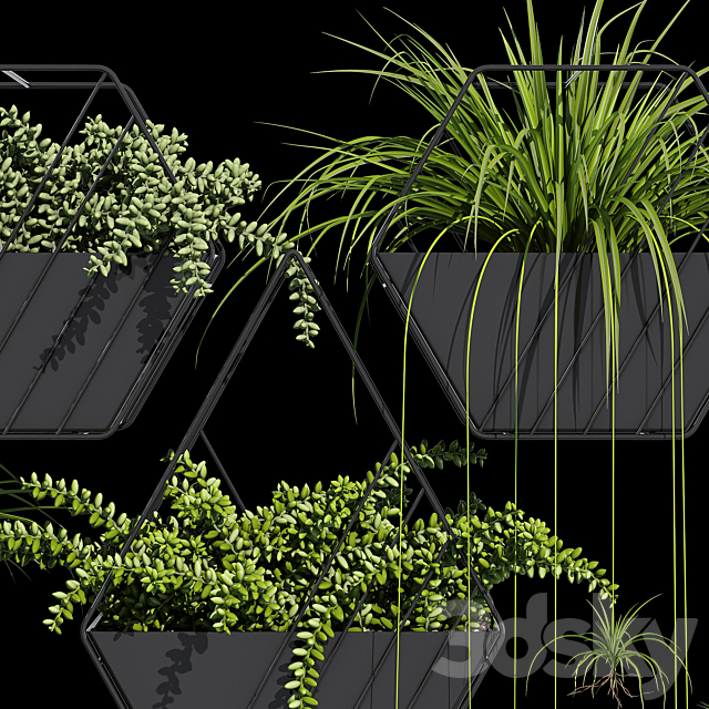 Tulan hanging planter 3DS Max Model - thumbnail 4