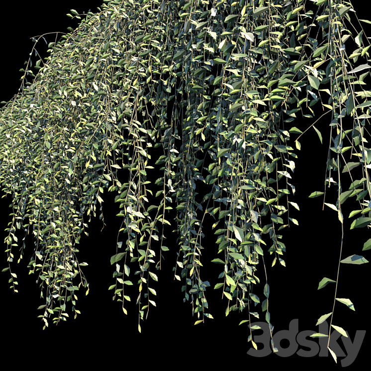 Vernonia Elliptica | Curtain creeper | 10 module 3DS Max - thumbnail 2