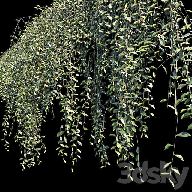 Vernonia Elliptica | Curtain creeper | 10 module 3DSMax File - thumbnail 2