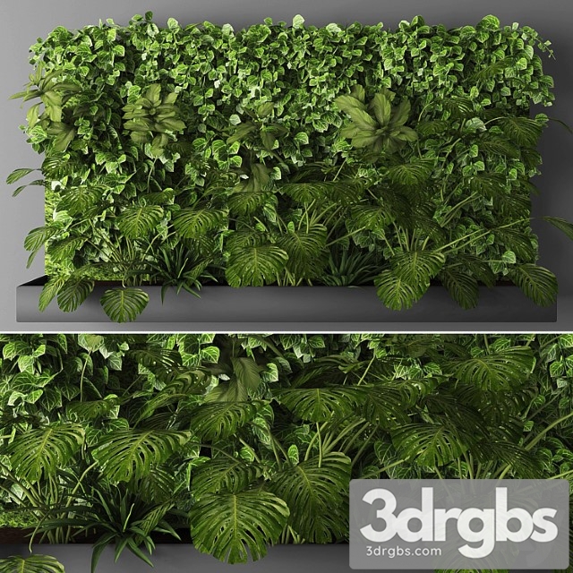 Vertical garden 011 - thumbnail 1