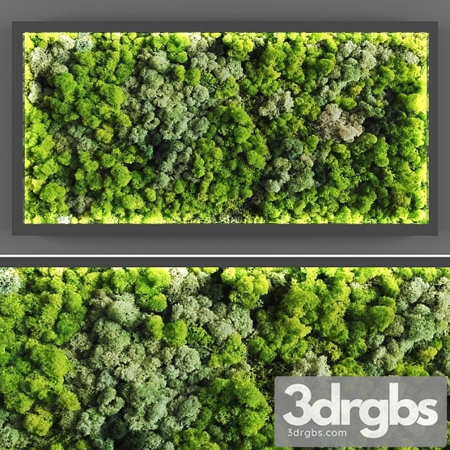 Vertical garden 059 - thumbnail 1