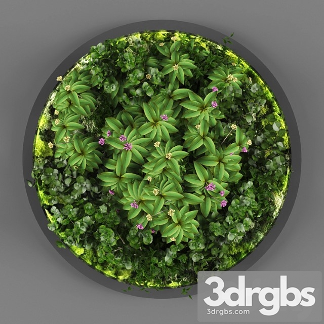 Vertical garden 113 - thumbnail 1