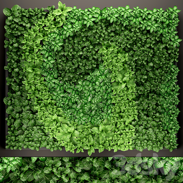 Vertical garden 14. vertical garden green wall phytomodule eco design picture of flowers plants on the wall 3ds Max - thumbnail 1