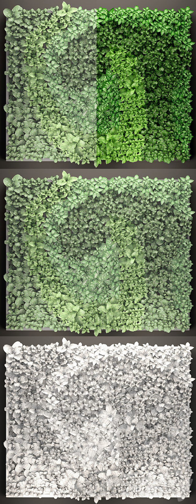 Vertical garden 14. vertical garden green wall phytomodule eco design picture of flowers plants on the wall 3ds Max - thumbnail 3