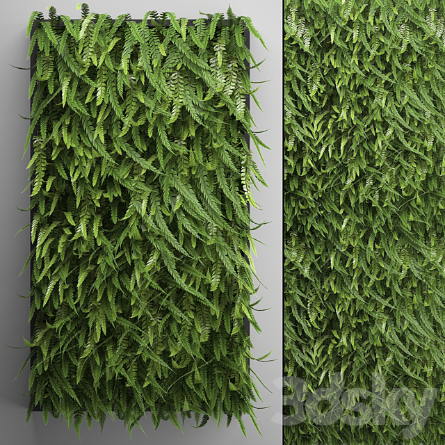 Vertical garden 17. FERN. Fern. phytowall. wall decor. phytomodule. bushes 3DSMax File - thumbnail 1