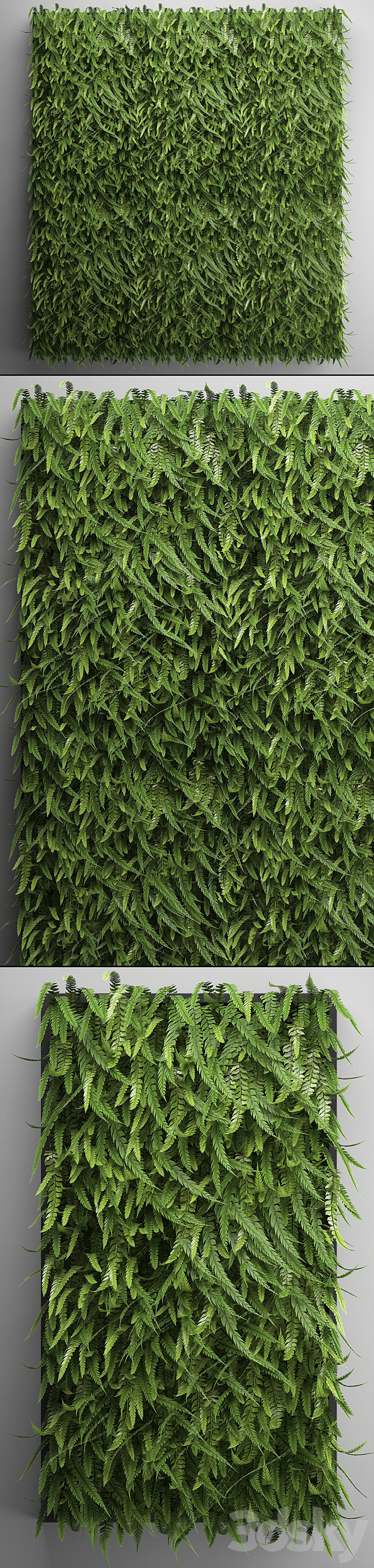 Vertical garden 17. FERN. Fern. phytowall. wall decor. phytomodule. bushes 3DSMax File - thumbnail 2