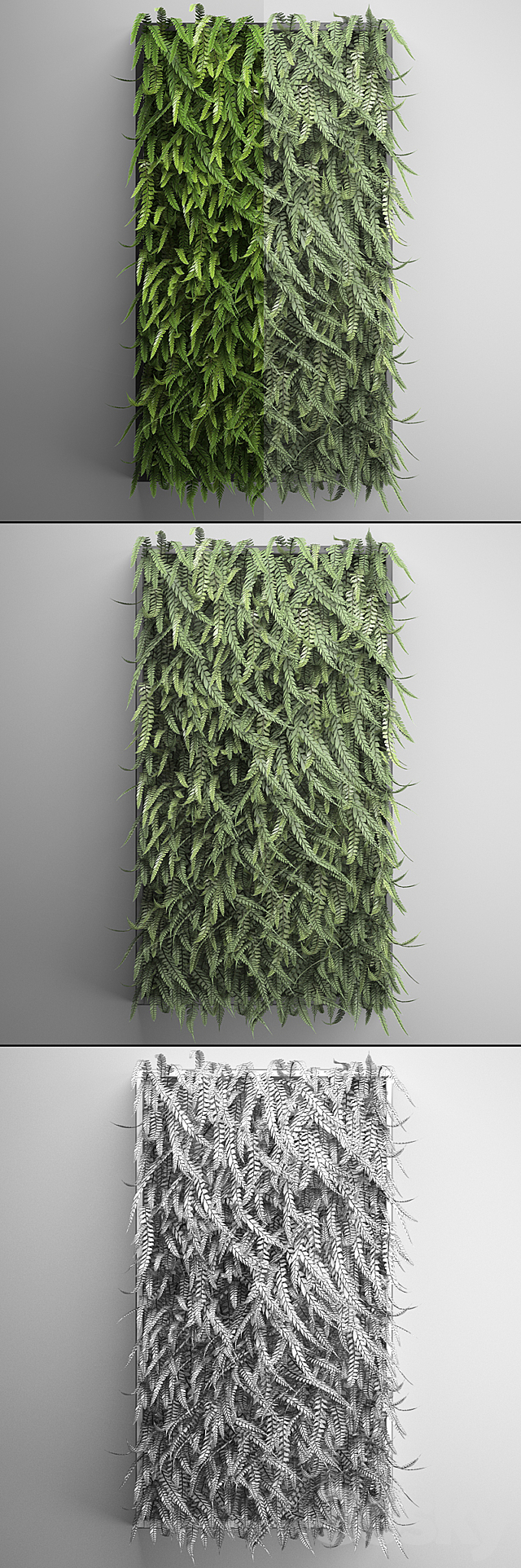 Vertical garden 17. FERN. Fern. phytowall. wall decor. phytomodule. bushes 3DSMax File - thumbnail 3