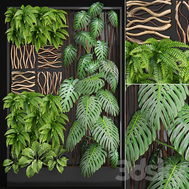 Vertical garden 2. Vertical garden phytowall phytomodl landscaping green picture bush wall decor branches monstera fern alocasia eco eco decor loft 3ds Max - thumbnail 1