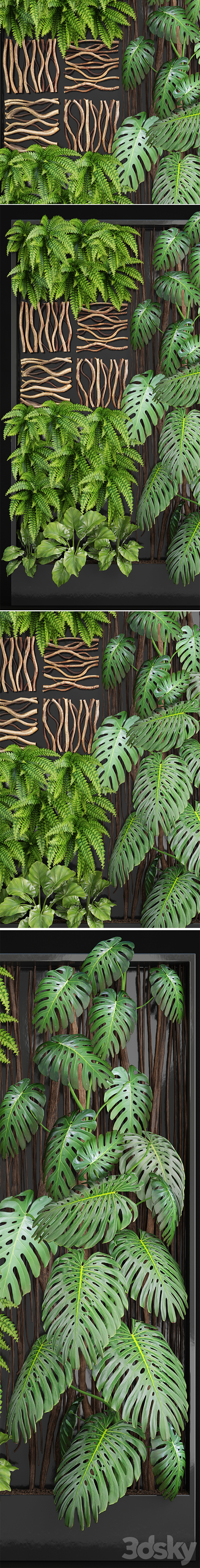 Vertical garden 2. Vertical garden phytowall phytomodl landscaping green picture bush wall decor branches monstera fern alocasia eco eco decor loft 3ds Max - thumbnail 2