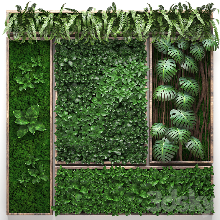 Vertical garden 22. Five separate modules landscaping phytowall phytomodule monstera fern eco design natural decor 3DS Max - thumbnail 1