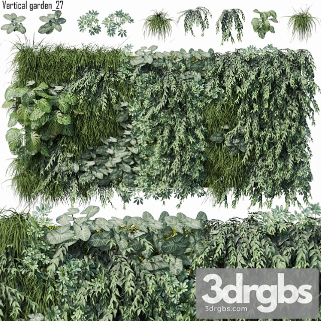 Vertical garden 27 - thumbnail 1