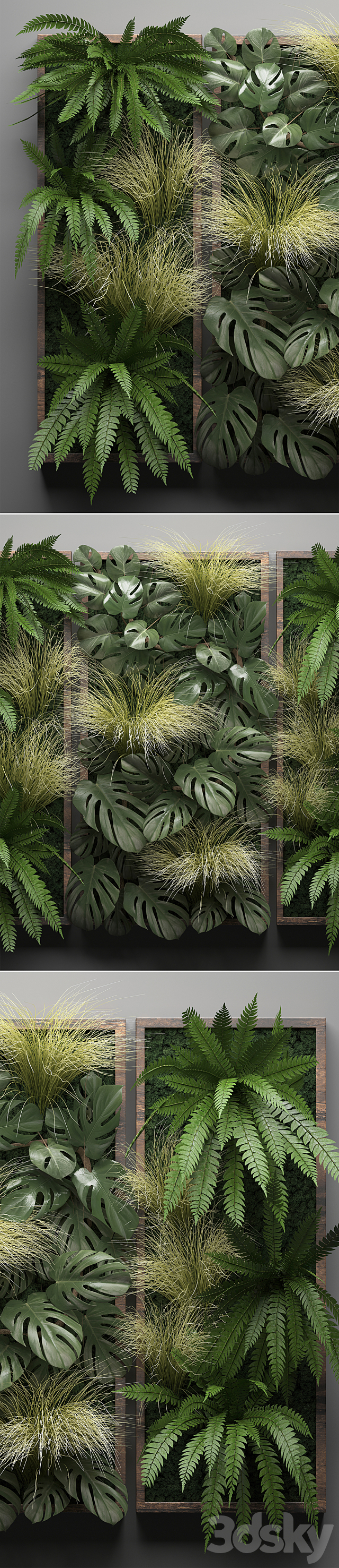 Vertical garden 28. Phytowall picture grass fern monstera wall decor phytomodule vertical garden 3DS Max Model - thumbnail 2