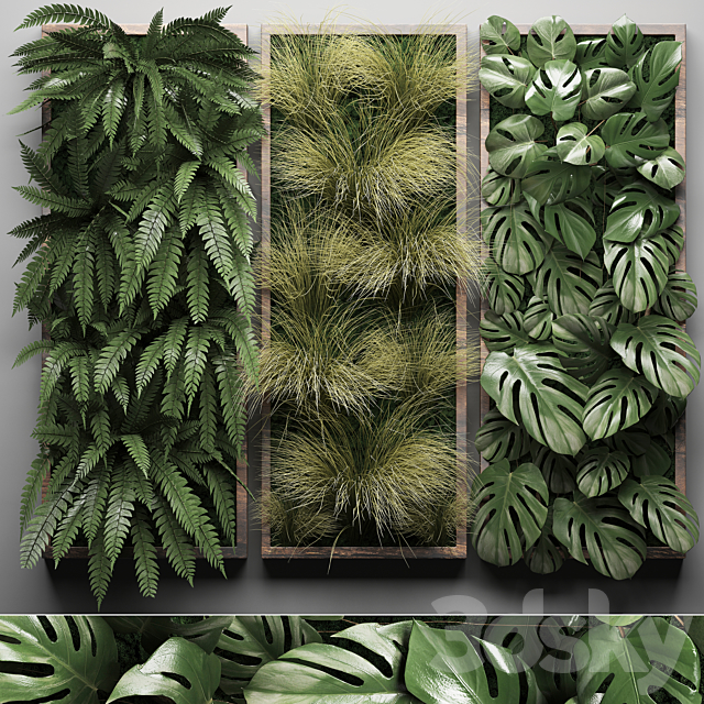 Vertical garden 29. Phytowall. picture. grass. fern. monstera. wall decor. phytomodule. vertical garden 3DSMax File - thumbnail 1