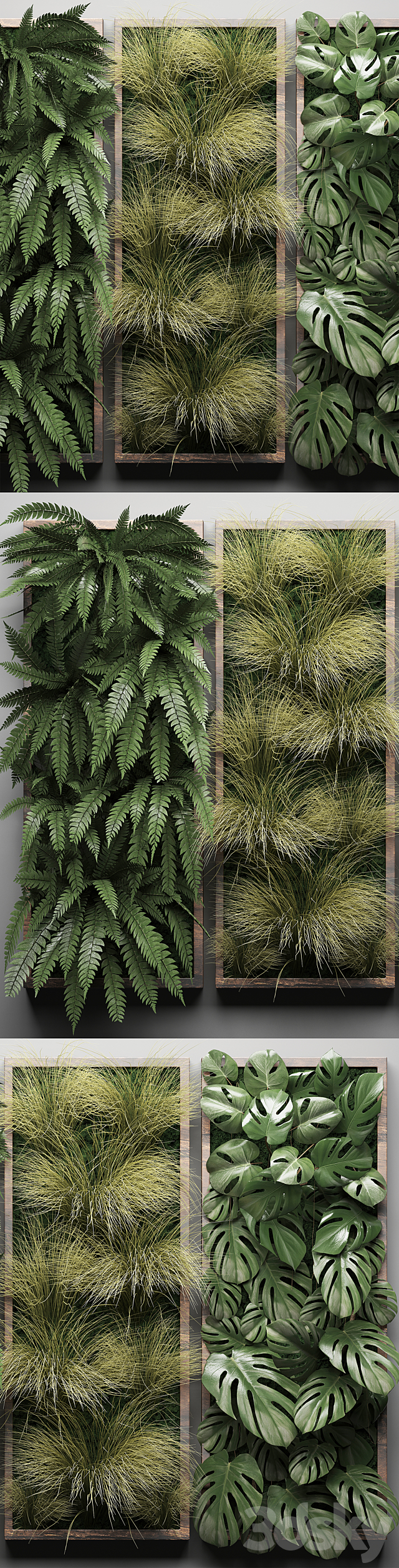 Vertical garden 29. Phytowall. picture. grass. fern. monstera. wall decor. phytomodule. vertical garden 3DSMax File - thumbnail 2